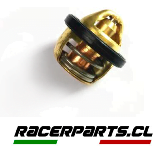 termostato tnt300