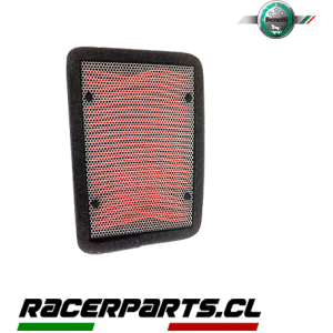 Filtro de Aire TNT 25N Benelli