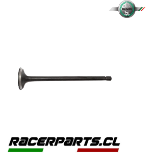 Válvula Admisión TNT 150i Benelli