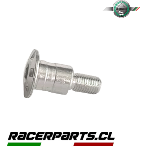Perno Pata de Apoyo Benelli