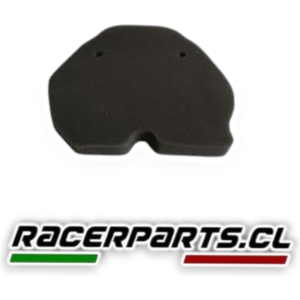 Filtro Aire TNT300 (Protech) BENELLI