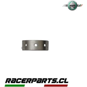 Metal Bancada TRK502 BENELLI