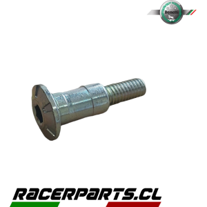 Perno Pedal de cambio TNT150/Leoncino 500/TNT25N  BENELLI