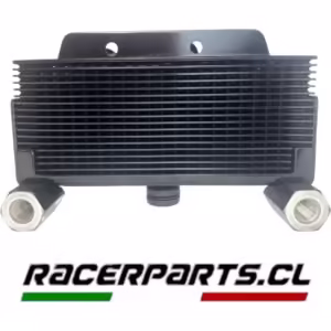 Radiador TNT150I / TX200  BENELLI